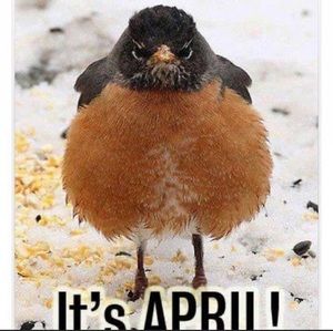 Meet your Posher, Margo